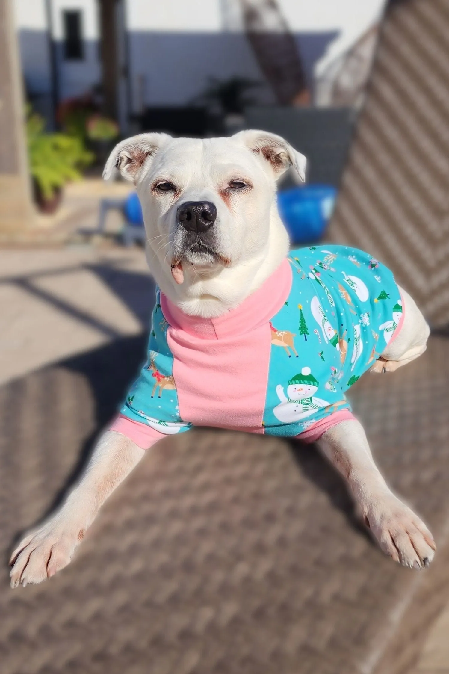 Festive Snowmen Dog Pajamas